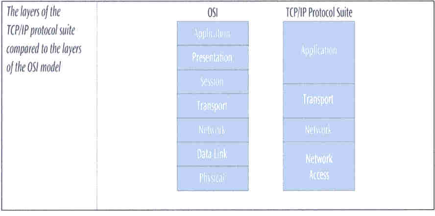 The layers of the TCP/IP suite compared to the layers of the OSI model